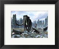 Framed pack of dire wolves crosses paths with two mammoths during the Upper Pleistocene Epoch