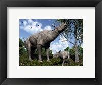 Framed Paraceratherium mother grazes on leaves and twigs of a poplar tree