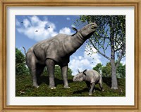 Framed Paraceratherium mother grazes on leaves and twigs of a poplar tree