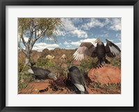 Framed Pleistocene Black Vultures feed on carrion