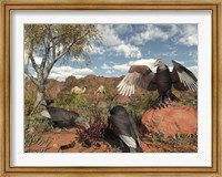Framed Pleistocene Black Vultures feed on carrion