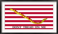 Framed Don't Tread on Me