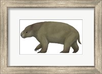 Framed Diprotodon, the Largest know Marsupial