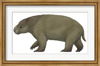 Framed Diprotodon, the Largest know Marsupial