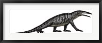 Framed Teraterpeton, an Archosauromorph from the Late Triassic