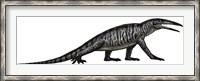 Framed Teraterpeton, an Archosauromorph from the Late Triassic