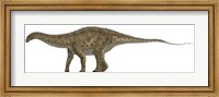 Framed Apatosaurus, a Sauropod Dinosaur also known as Brontosaurus