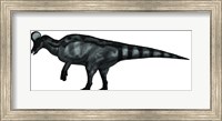 Framed Corythosaurus, a Large Hadrosaurid Dinosaur