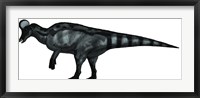 Framed Corythosaurus, a Large Hadrosaurid Dinosaur