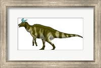 Framed Lambeosaurus Lambei, a Hadrosaurid Dinosaur from the Cretaceous Period