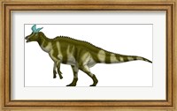 Framed Lambeosaurus Lambei, a Hadrosaurid Dinosaur from the Cretaceous Period