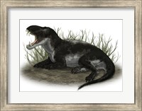 Framed Pampaphoneus, a Genus of Dinocephalian Dinosaur