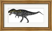 Framed Tyrannosaurus Rex, a Large Predator of the Cretaceous Period
