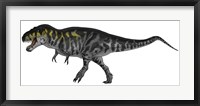 Framed Tyrannosaurus Rex, a Large Predator of the Cretaceous Period