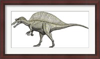 Framed Albino Spinosaurus
