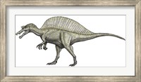Framed Albino Spinosaurus