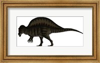 Framed Spinosaurus, a Large Carnivore of the Cretaceous Period