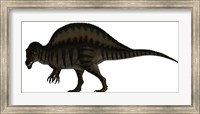 Framed Spinosaurus, a Large Carnivore of the Cretaceous Period