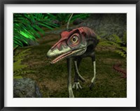 Framed Compsognathus wanders a Late Jurassic Forest
