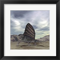 Framed Dimetrodon Grandis Traverses Earth During the Early Permian Period