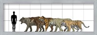 Framed Big Felines Size Chart
