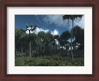 Framed Carboniferous Forest of Midwestern North America 350 million years ago