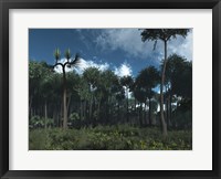 Framed Carboniferous Forest of Midwestern North America 350 million years ago