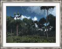 Framed Carboniferous Forest of Midwestern North America 350 million years ago