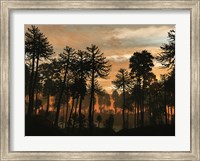 Framed Forest of Cordaites and Araucaria Silhouetted Against a Colorful Sunset