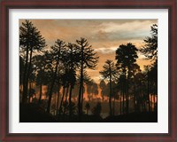 Framed Forest of Cordaites and Araucaria Silhouetted Against a Colorful Sunset