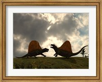 Framed Dimetrodon Fight Over Territory