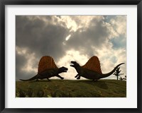 Framed Dimetrodon Fight Over Territory