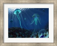 Framed Swarm of Jellyfish Swim the Panthalassic Ocean