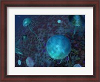 Framed Swarm of Jellyfish Swim the Panthalassic Ocean