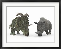 Framed Adult Albertaceratops Compared to a Modern adult White Rhinoceros