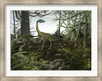 Framed Coelophysis Dinosaurs Walk Amongst a Forest