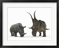 Framed Adult Diabloceratops Compared to a Modern adult White Rhinoceros