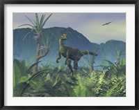 Framed Colorful Adult Male Dilophosaurus Explores a Hilltop