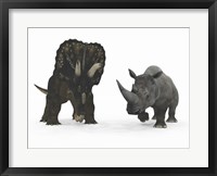Framed Adult Nedoceratops Compared to a Modern Adult White Rhinoceros