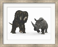 Framed Adult Nedoceratops Compared to a Modern Adult White Rhinoceros