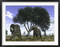 Framed Nedoceratops Graze Beneath a Giant Oak Tree