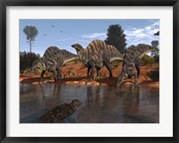 Framed Ouranosaurus Drink at a Watering Hole while a Sarcosuchus Floats nearby