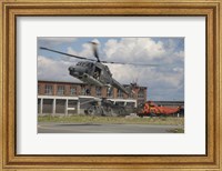 Framed Sea Lynx and Sea King Helicopters of the German Navy