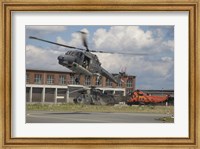 Framed Sea Lynx and Sea King Helicopters of the German Navy