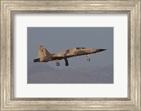 Framed F-5N Aggressor Aircraft of the US Marine Corps