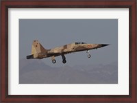 Framed F-5N Aggressor Aircraft of the US Marine Corps