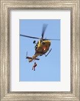 Framed CH-146 Griffon Helicopter of the Canadian Air Force