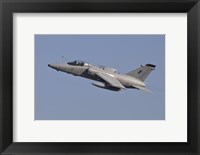 Framed Italian Air Force AMX Aircraft Taking Off