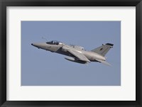 Framed Italian Air Force AMX Aircraft Taking Off