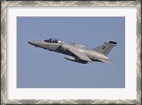 Framed Italian Air Force AMX Aircraft Taking Off